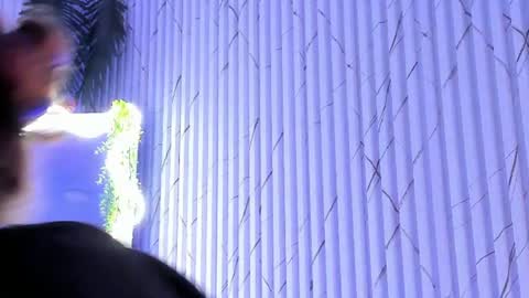 Naomy  online show from June 2026 04:46:01 AM