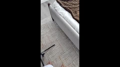 Snapshot of nastyluv143 chatting on November 2025 05:41:01 PM Asian Milf Show online show from November 2025 05:41:01 PM