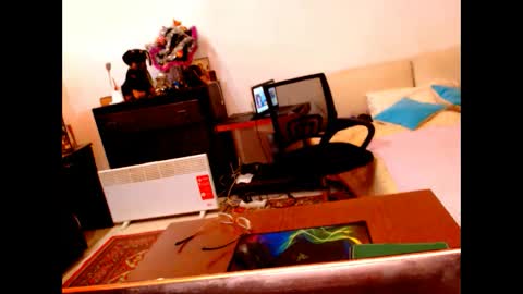 natali online show from January 2025 09:15:02 AM