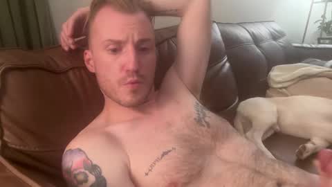 naterando online show from May 2026 04:06:02 AM