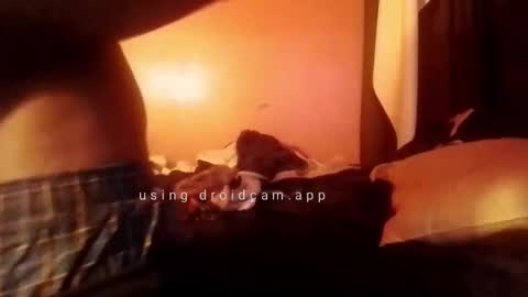 Snapshot of nathanbutler0 chatting on October 2025 05:52:01 AM nathanbutler0 online show from October 2025 05:52:01 AM