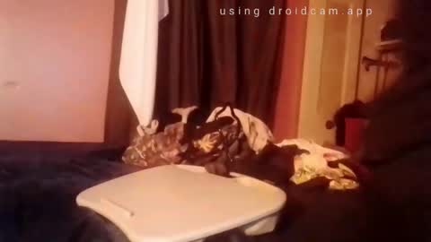 Snapshot of nathanbutler0 chatting on November 2025 02:52:02 PM nathanbutler0 online show from November 2025 02:52:02 PM