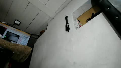 natalia online show from June 2026 02:09:02 AM