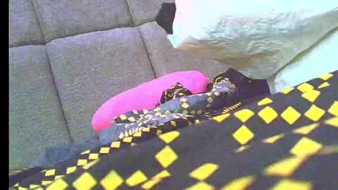 Jasmin online show from January 2026 12:14:02 AM