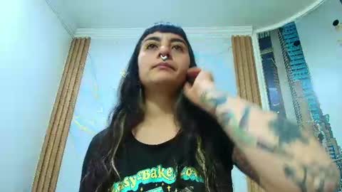 Kitten online show from July 2026 11:36:02 AM