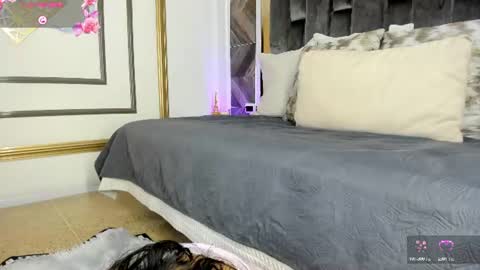    online show from June 2026 11:29:02 AM