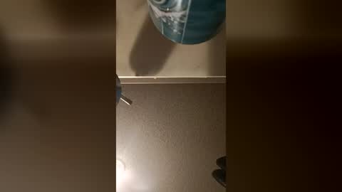 ndylon9 online show from August 2026 11:42:01 AM