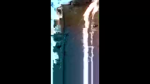neamtu online show from May 2026 12:21:02 PM