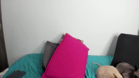 Nei turn green online show from September 2025 01:29:01 AM