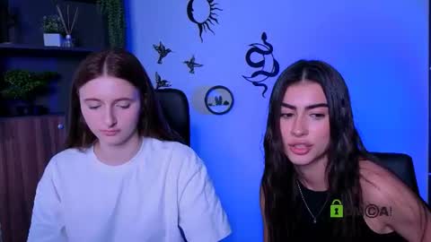 Meow online show from July 2026 09:40:01 AM