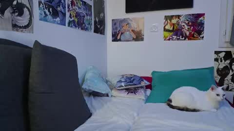 Neko online show from September 2025 02:51:01 PM