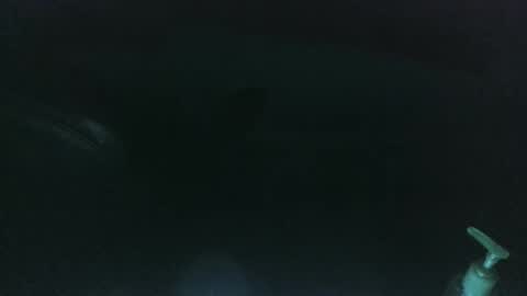 Snapshot of nelsonbucara chatting on March 2025 10:00:02 AM nelsonbucara online show from March 2025 10:00:02 AM