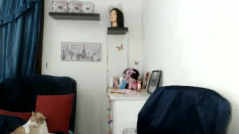 Star  online show from February 2025 12:10:02 AM