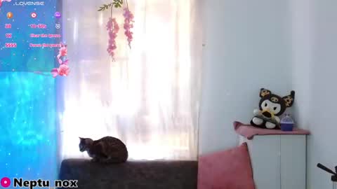 Neptu noxx online show from January 2025 09:48:02 PM