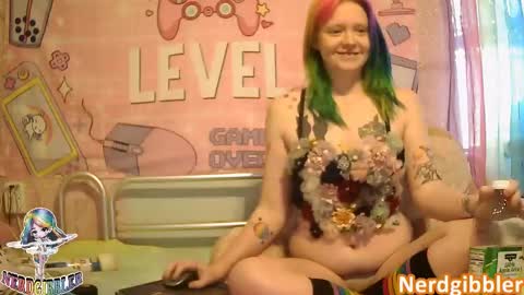 Snapshot of nerdgibbler chatting on January 2025 03:04:02 PM NerdGibbler online show from January 2025 03:04:02 PM