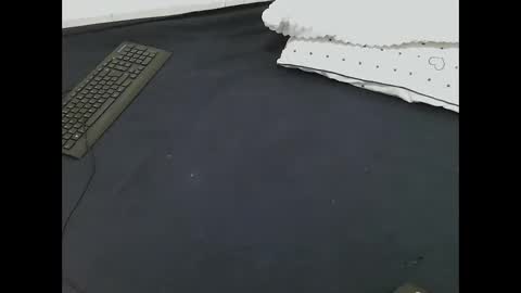 nia_0 online show from March 2026 08:51:02 AM