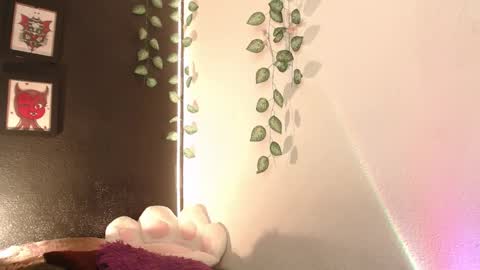 Snapshot of niakat_ chatting on January 2026 03:10:01 AM niakat online show from January 2026 03:10:01 AM