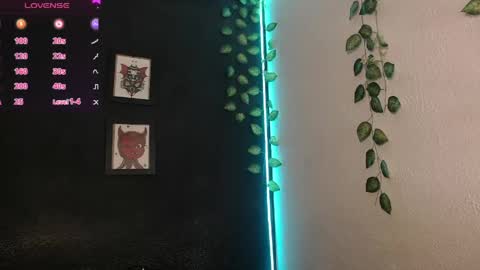  niakat  online show from June 2026 09:17:02 PM