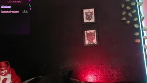  niakat  online show from June 2026 06:52:02 AM