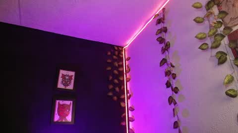  niakat  online show from June 2026 12:26:02 AM