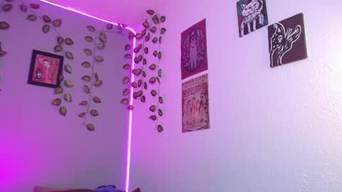  niakat  online show from July 2026 05:16:01 AM