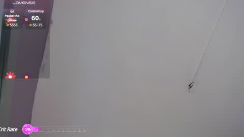 Niawk online show from February 2025 03:30:02 PM