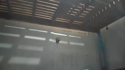 niceasianpussy online show from May 2026 07:55:02 PM