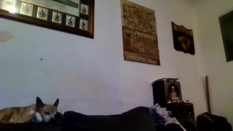 Sexiishaine online show from February 2025 10:00:02 PM