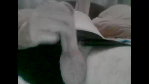 Snapshot of nickthefiddler chatting on October 2025 05:19:01 AM TheCock online show from October 2025 05:19:01 AM