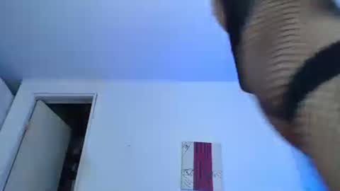 Snapshot of nico_hoot chatting on December 2024 02:17:01 AM sammy hoot online show from December 2024 02:17:01 AM