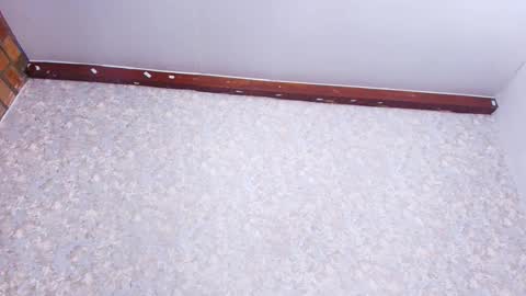 Snapshot of nicol_ferrer chatting on November 2025 03:05:02 AM Nicol online show from November 2025 03:05:02 AM