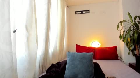 Nicole online show from December 2024 03:52:01 PM