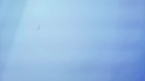 Snapshot of nicole_sounders chatting on January 2026 11:25:01 AM Nicolle online show from January 2026 11:25:01 AM