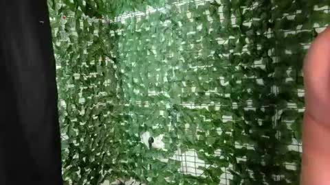 nicoleirisxxx online show from July 2026 05:09:02 AM
