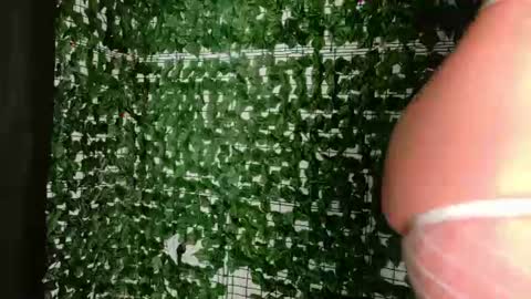 nicoleirisxxx online show from July 2026 05:36:01 AM