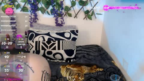 Snapshot of nicollegp chatting on April 2026 10:25:02 PM Nicolle ardila online show from April 2026 10:25:02 PM