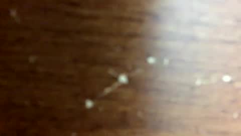 nightmoves1970 online show from October 2025 02:45:02 AM