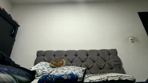 Anni online show from July 2026 03:12:01 AM