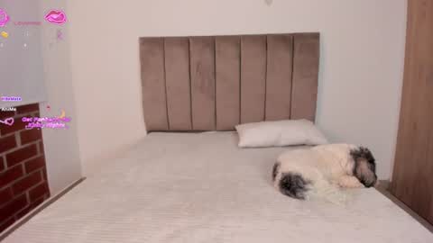 Niicoleta  online show from June 2026 09:23:01 AM