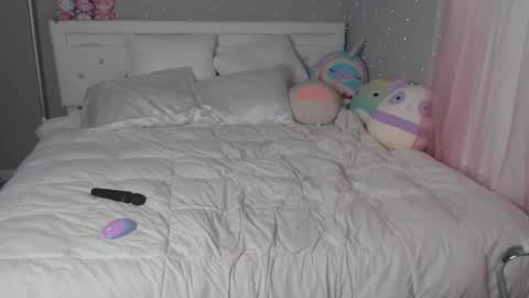 nikayasworld online show from December 2024 08:05:02 PM