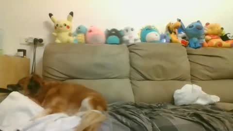 Brian and Logan Brogan online show from April 2026 07:17:02 PM