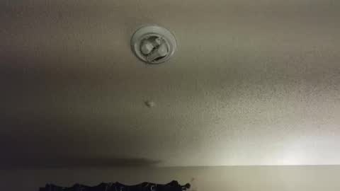 Snapshot of nikkimasters1091 chatting on December 2025 02:15:01 PM Nikki Mastersgirl1091 online show from December 2025 02:15:01 PM