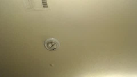 Snapshot of nikkimasters1091 chatting on January 2026 02:22:02 PM Nikki Mastersgirl1091 online show from January 2026 02:22:02 PM