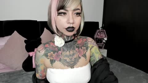 Snapshot of nikkiramone chatting on January 2025 03:07:01 PM Nikki Ramone online show from January 2025 03:07:01 PM