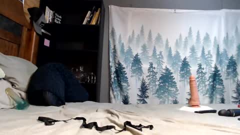 Snapshot of nikkisugartits chatting on January 2025 11:32:01 PM Nikki online show from January 2025 11:32:01 PM