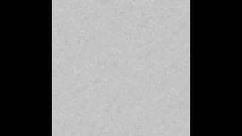 Snapshot of nikolay_dimitrov chatting on January 2026 03:31:02 AM online show from January 2026 03:31:02 AM