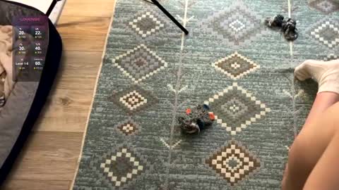 Snapshot of nimfaheart chatting on December 2024 07:49:01 PM Jennet online show from December 2024 07:49:01 PM