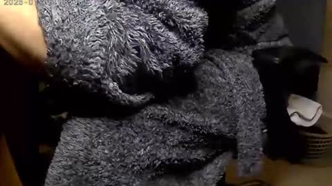 nineinchhard online show from January 2025 06:47:02 AM