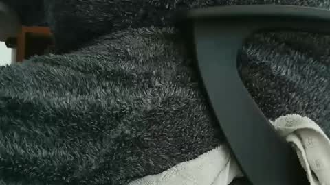 nineinchhard online show from September 2025 09:56:01 AM