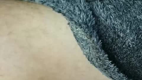 nineinchhard online show from March 2026 09:06:02 AM